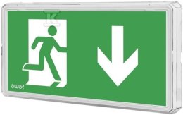 OPR.EXIT LED 1W 2-ZADAN.+ PU31 AWEX