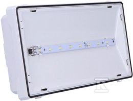 OPR.EXIT S IP65 LED 1W 1H 1-ZAD. PT BIA? AWEX