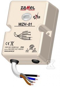 WZH-01 WYŁ.ZMIERZ.N/T SONDA 230V AC IP6 ZAMEL
