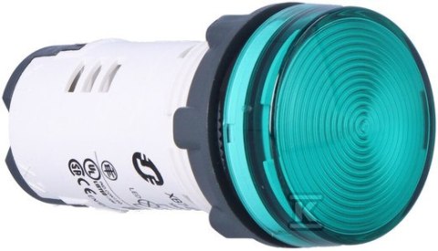 LAMP.SYGN. 24V LED ZIELONA SCHNEIDER ELECTRIC