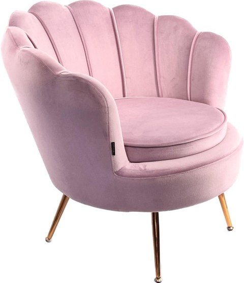 Krzesło Fotel Muszla Lugano DONNA VELVET PINK OUTLET Lugano Krzesło Fotel Muszla Lugano DONNA VELVET PINK OUTLET Lugano