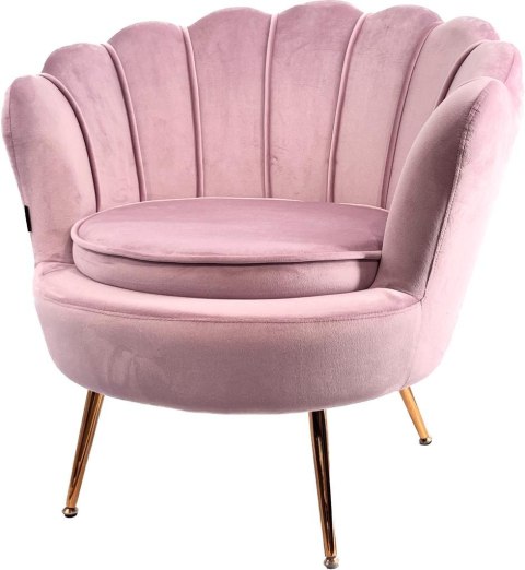 Krzesło Fotel Muszla Lugano DONNA VELVET PINK Lugano Krzesło Fotel Muszla Lugano DONNA VELVET PINK Lugano