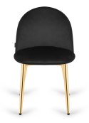 Krzesło tapicerowane GLORIA BLACK VELVET GOLD Lugano