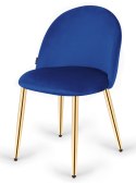 Krzesło tapicerowane GLORIA BLUE VELVET GOLD Lugano