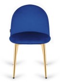 Krzesło tapicerowane GLORIA BLUE VELVET GOLD Lugano