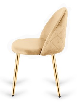 Krzesło tapicerowane GLORIA CREAM VELVET GOLD Lugano