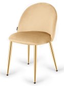 Krzesło tapicerowane GLORIA CREAM VELVET GOLD Lugano