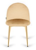 Krzesło tapicerowane GLORIA CREAM VELVET GOLD Lugano