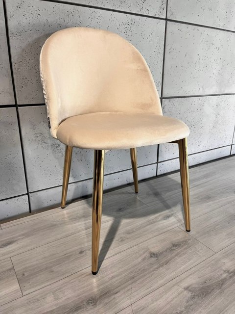 Krzesło tapicerowane GLORIA CREAM VELVET GOLD Lugano Krzesło tapicerowane GLORIA CREAM VELVET GOLD Lugano