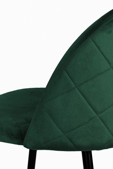 Krzesło tapicerowane GLORIA GREEN FOREST VELVET Lugano Krzesło tapicerowane GLORIA GREEN FOREST VELVET Lugano