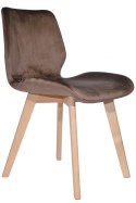 Krzesło tapicerowane SOPHIA VELVET BROWN Lugano