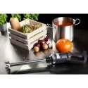 Mocny mikser blender robot ręczny dł. ramienia 400mm 350W 230V Royal Catering Royal Catering