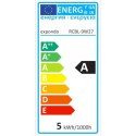 Żarówka LED RGB zmieniająca kolory 16 kolorów 5 trybów 5W + pilot Royal Catering