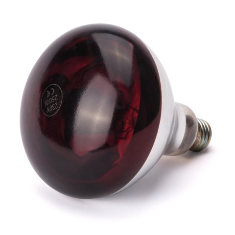 Żarówka na podczerwień do lampy do podgrzewania potraw E27 250W czerwona Hendi