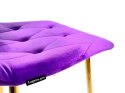 Krzesło tapicerowane BORGO VELVET PURPLE SILVER Lugano