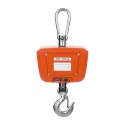 Waga hakowa wisząca wodoodporna IP65 do 300kg LED Steinberg Systems